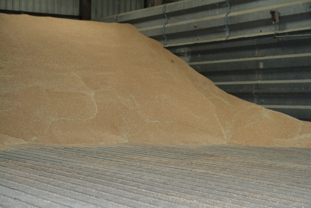 Prepare and protect – Grain management is key to maximising margins ...