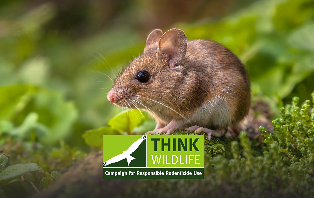 Rodenticide alert prompts reminder of permitted target species
