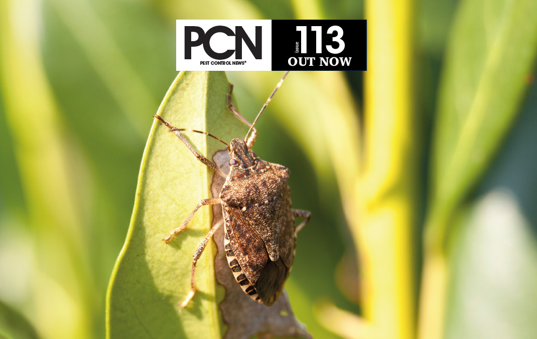 PCN_113-OUT-NOW