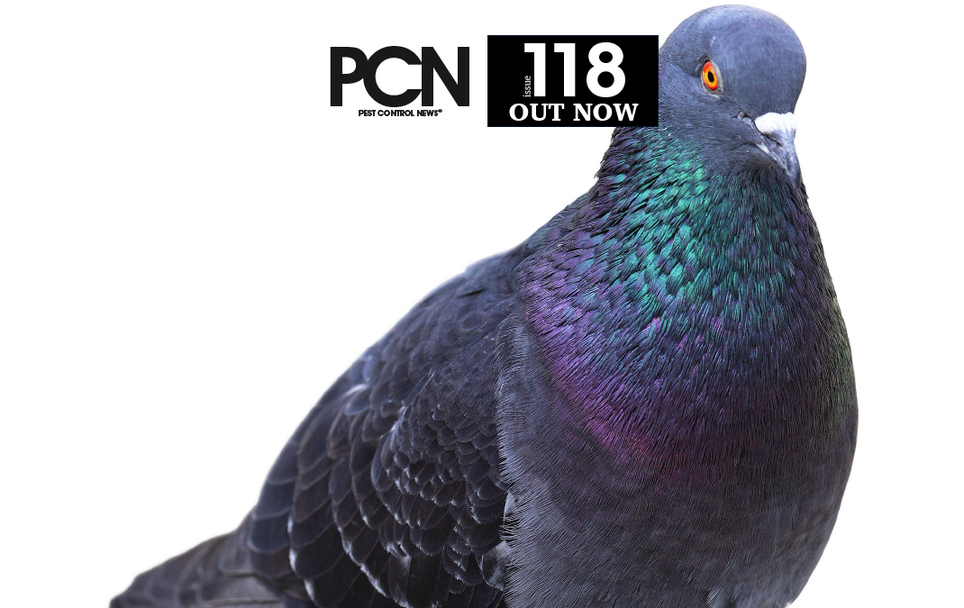 PCN_118_OUT-NOW
