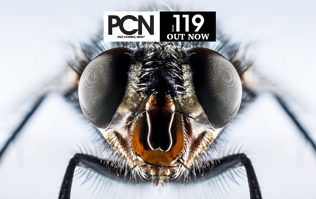 PCN_119_OUT-NOW_BANNER