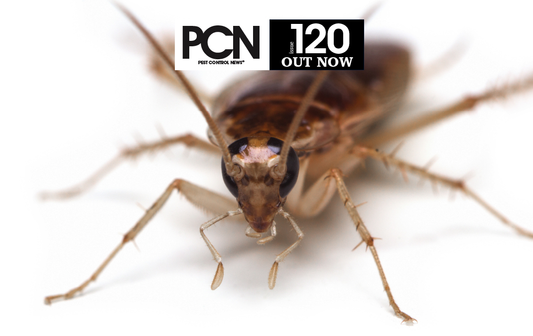 PCN_120_OUT-NOW_BANNER