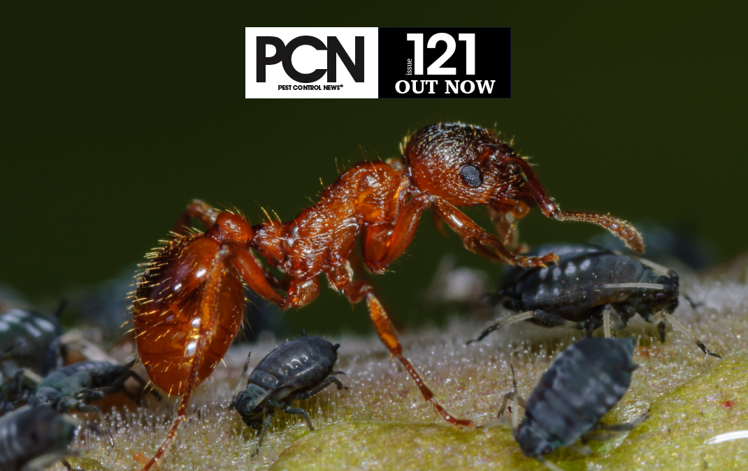 PCN_121_OUT-NOW_BANNER
