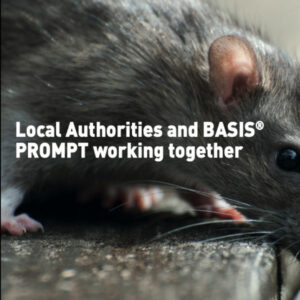 local_authorities_basis