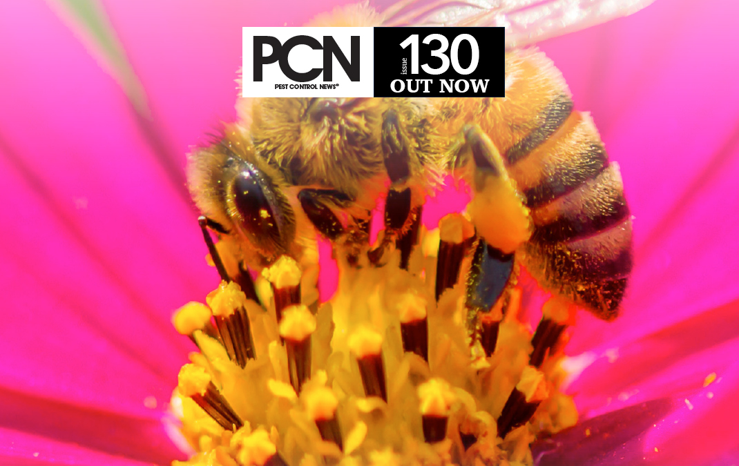 PCN_130_OUT-NOW_BANNER-1