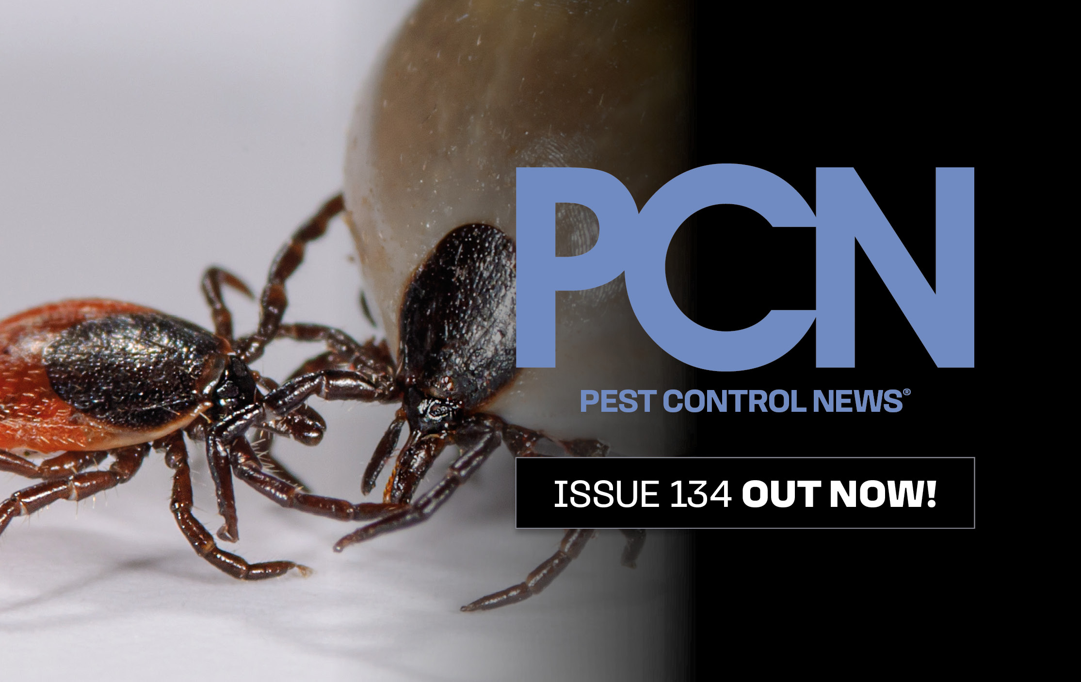 PCN UK - ISSUE 134-OUT NOW APP BANNER