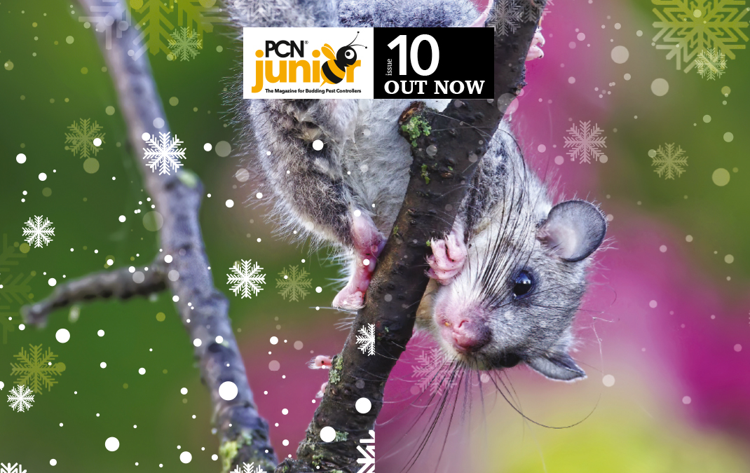 PCN Junior 10 Out now